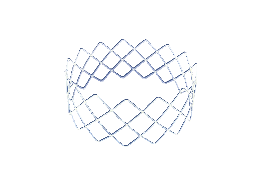 全降解鼻窦药物支架